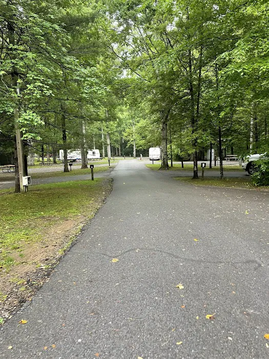 Roan Mountain State Park Campground (RV & Tents) Picture 8