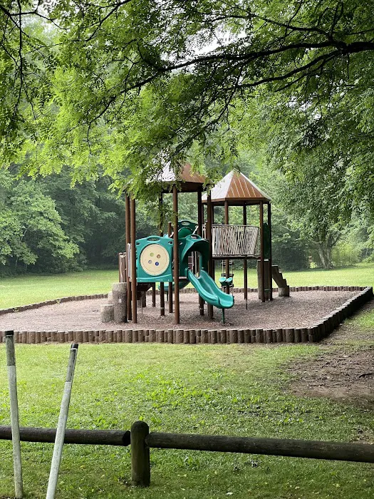 Roan Mountain State Park Campground (RV & Tents) Picture 10