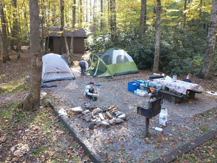 Roan Mountain State Park Campground (RV & Tents) Picture 6