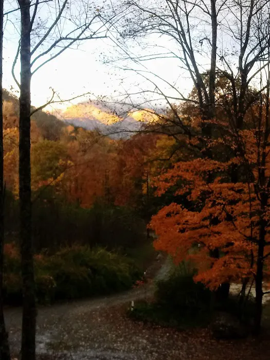Plumtree Campground and Retreat Picture 7