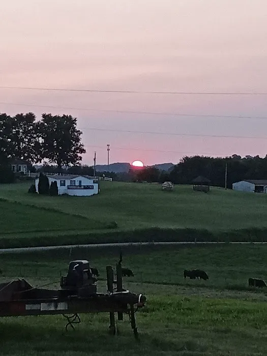 Evergreens RV Park Picture 9