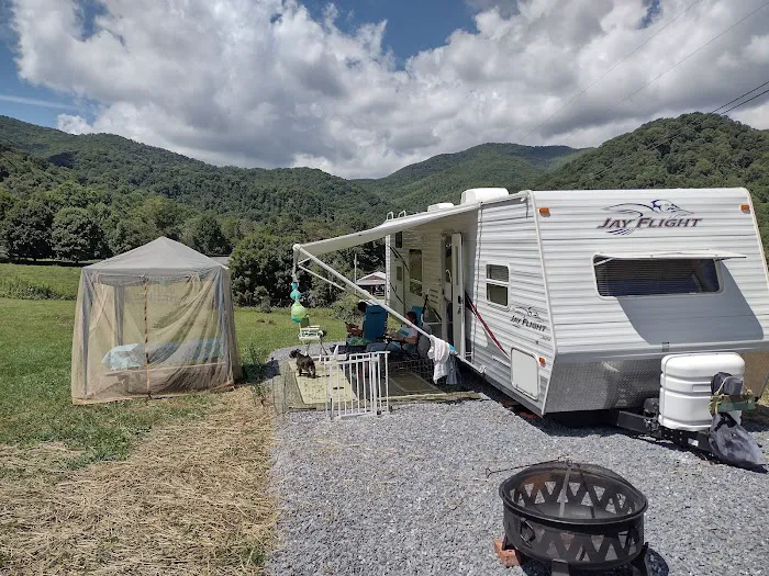 Alexandria's Roan Mountain Camping Picture 5