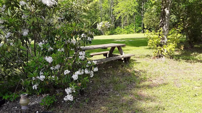 Doe River Campground Picture 2