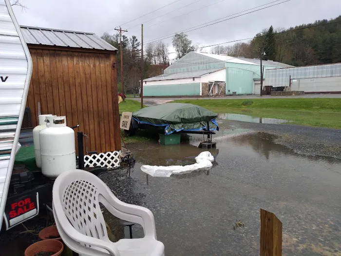 Linville River Campground Picture 7