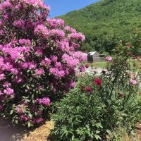 Buck Hill Campground ico