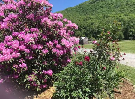 Buck Hill Campground
