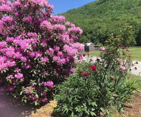 Buck Hill Campground