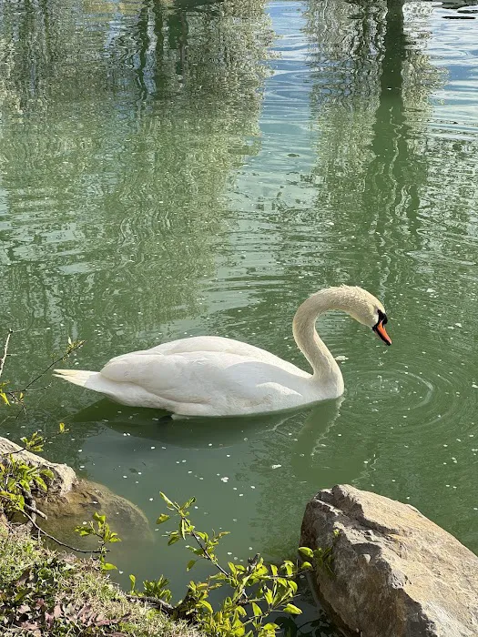 Around Pond RV Park Picture 8