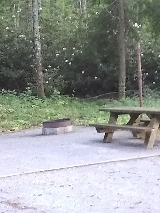 Dennis Cove Recreation Area Picture 5