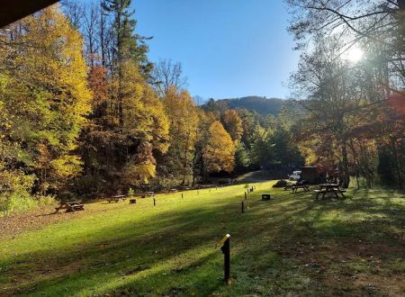 Black Bear Resort