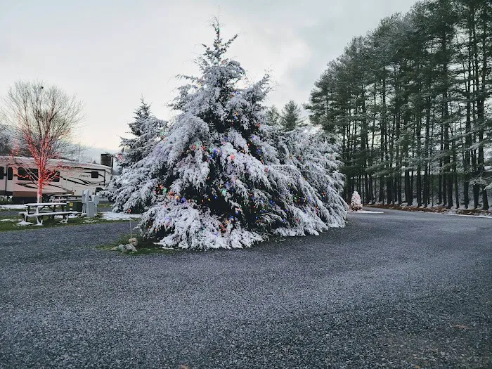 Creekwood Farm RV Park Picture 4