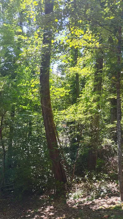 Little Pond Mountain Campground Picture 10