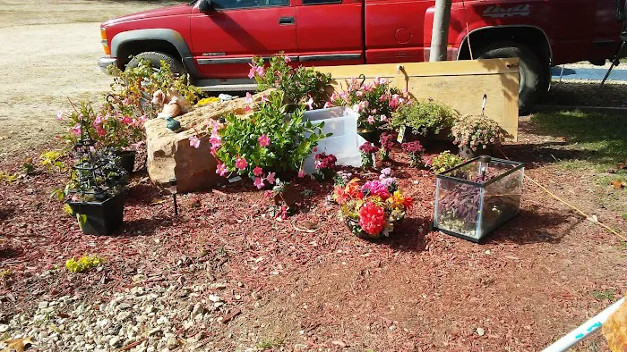 Little Pond Mountain Campground Picture 8