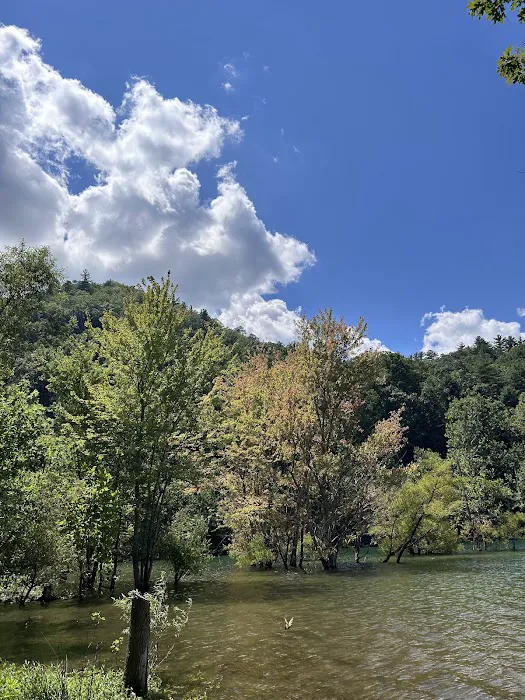 Little Stoney Creek Campground Picture 4
