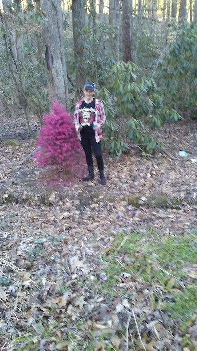 Little Stoney Creek Campground Picture 9