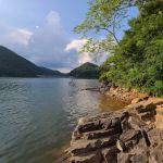 Cardens Bluff Campground