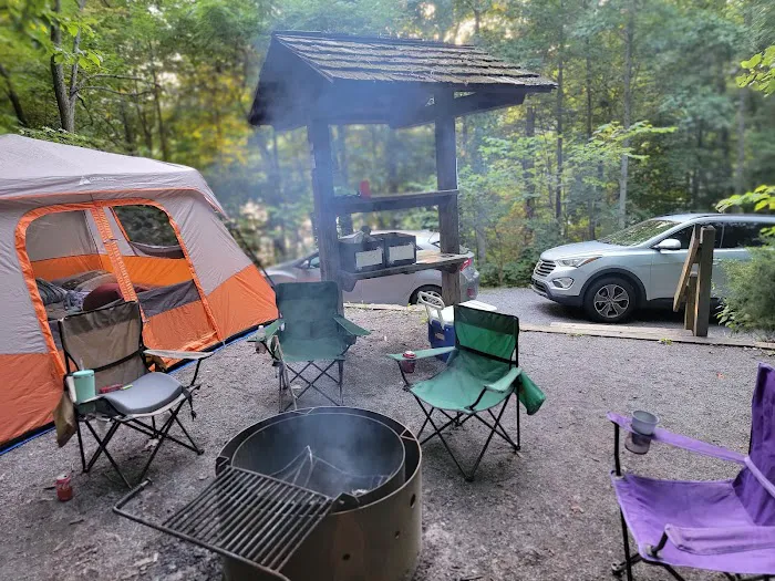 Cardens Bluff Campground Picture 7