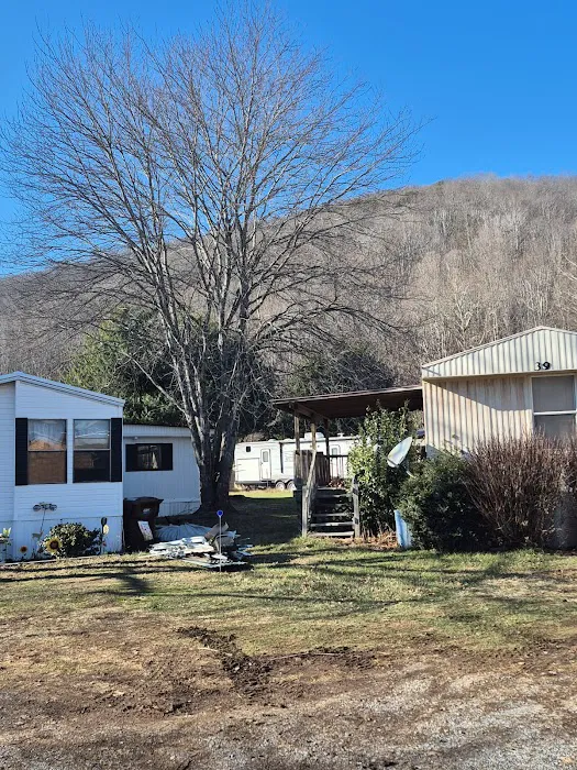 Maggie Valley Estates Picture 4