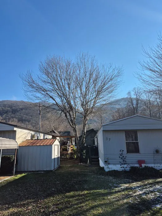 Maggie Valley Estates Picture 3