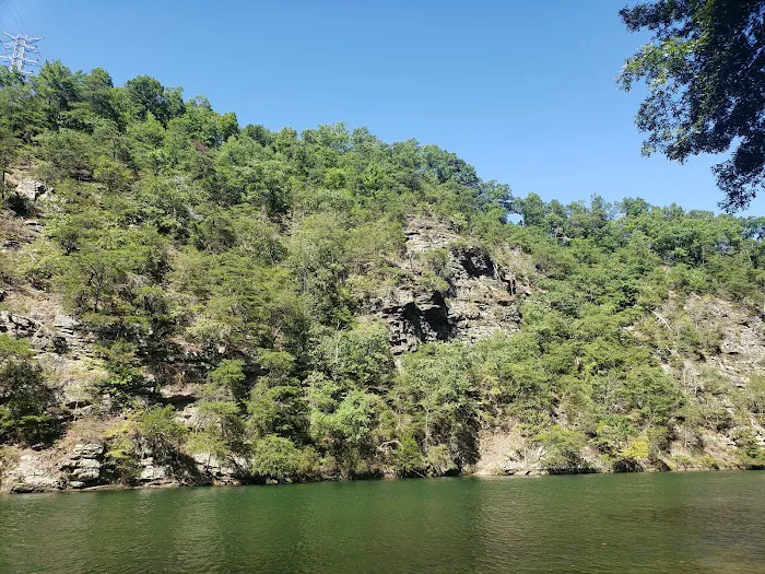 TVA Watauga Dam Tailwater Picnic Grounds Picture 4