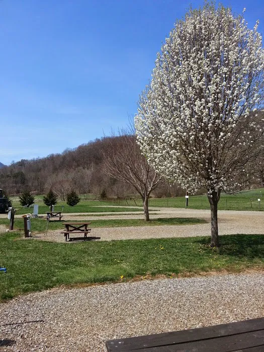 Cross Creek RV Park Picture 4