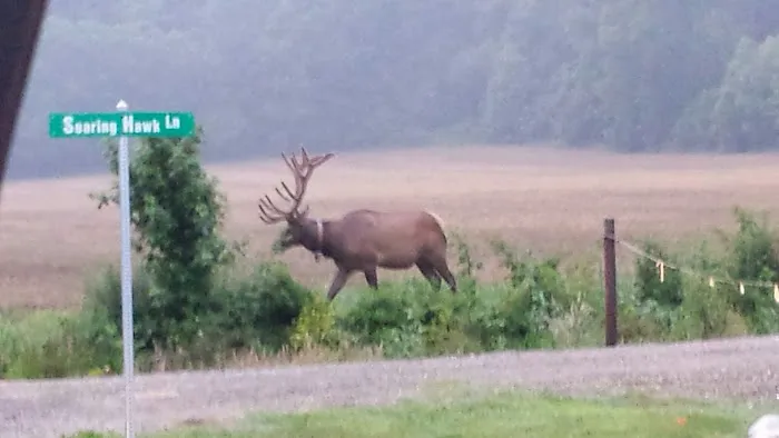 Cross Creek RV Park Picture 3