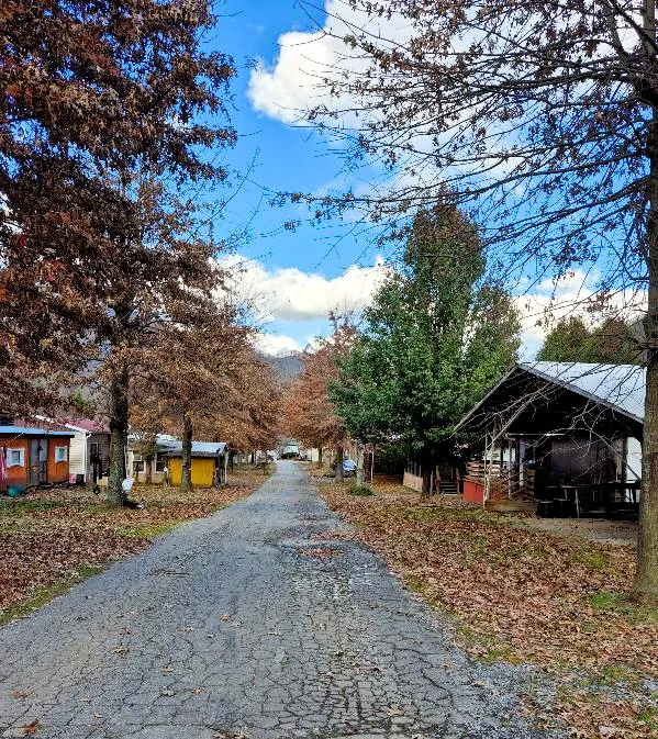 Maggie Valley RV Resort Picture 1