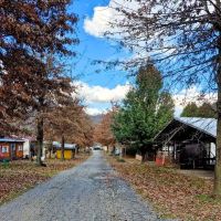Maggie Valley RV Resort ico
