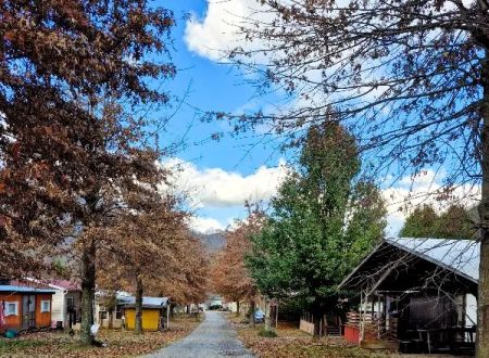 Maggie Valley RV Resort