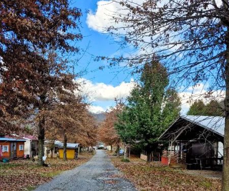 Maggie Valley RV Resort