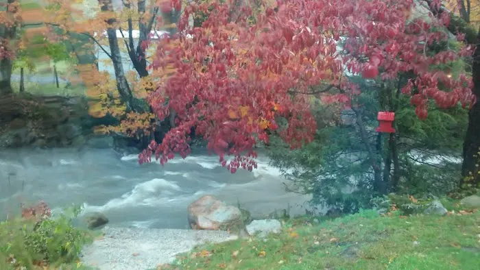 Rippling Waters Creekside RV Park Picture 4