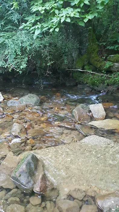 Cane Patch Campground Picture 4