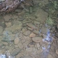 Cane Patch Campground ico