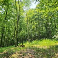 Hippie Trails Campground ico