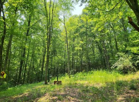 Hippie Trails Campground