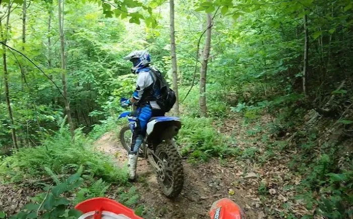 Hippie Trails Campground Picture 9