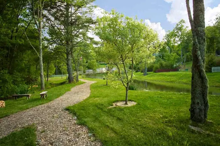Wildflower Creek Motor Coach Resort Picture 5