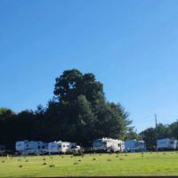 Lonesome Pine RV Park & Campground ico