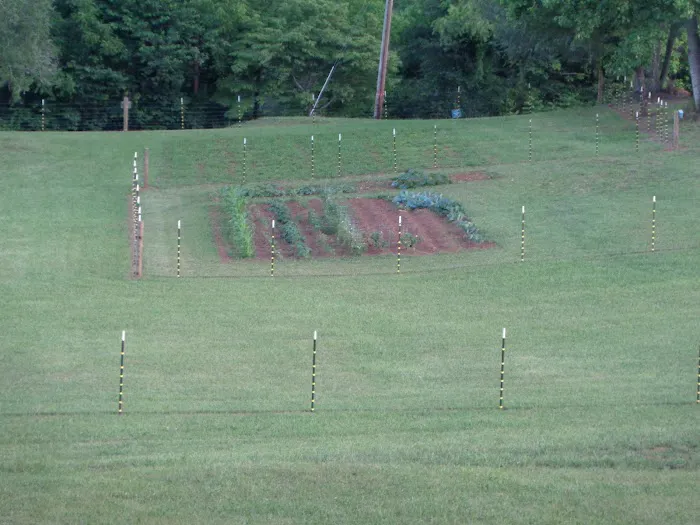 GEM CITY RV RESORT Picture 8