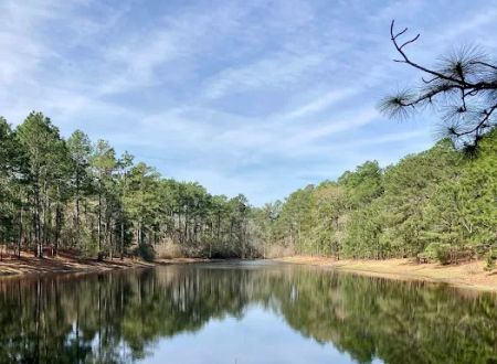 Spacious Skies Campgrounds - Sandy Run