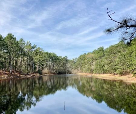 Spacious Skies Campgrounds - Sandy Run