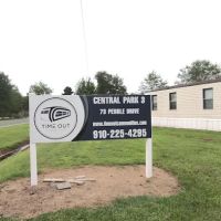 Central Park #3 ico