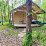 Cabin and Canvas