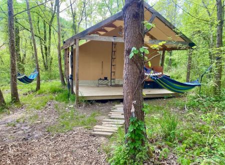 Cabin and Canvas
