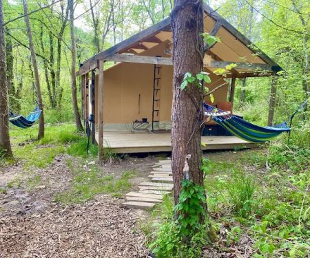 Cabin and Canvas