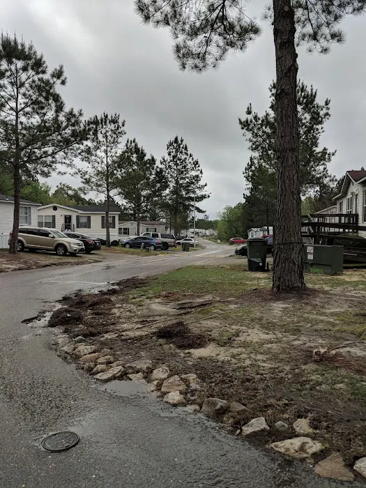 Taylors Creek Picture 8