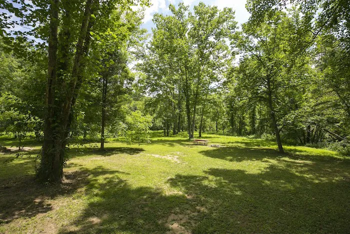 Daniel Boone Campground in Red River Gorge Picture 7