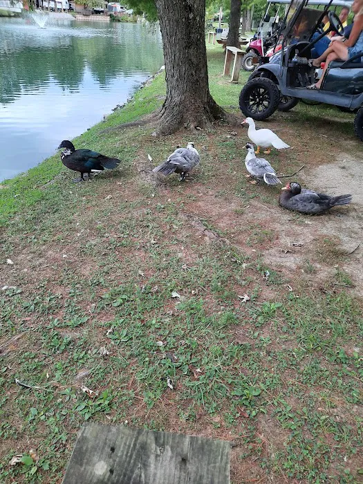 River Pines Picture 6