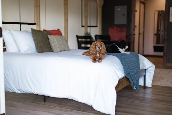 Abide Glamping Picture 5