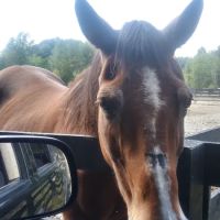 East Fork State Park Campgrounds ico